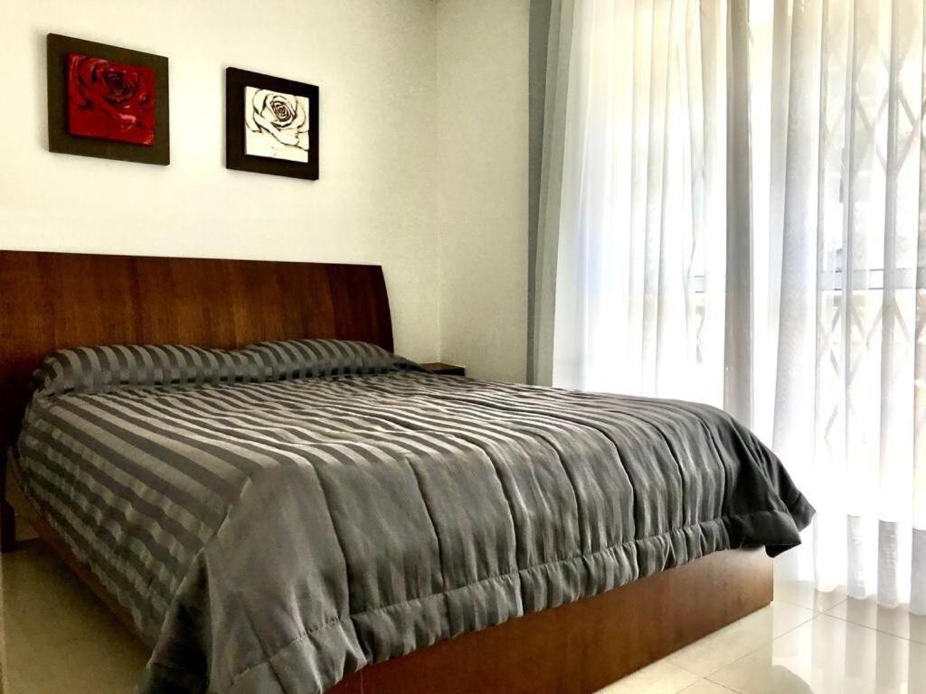 Garden Ville - Confortavel Apartamento Na Praia De Bombas Com Otima Localizacao Bombinhas Eksteriør billede